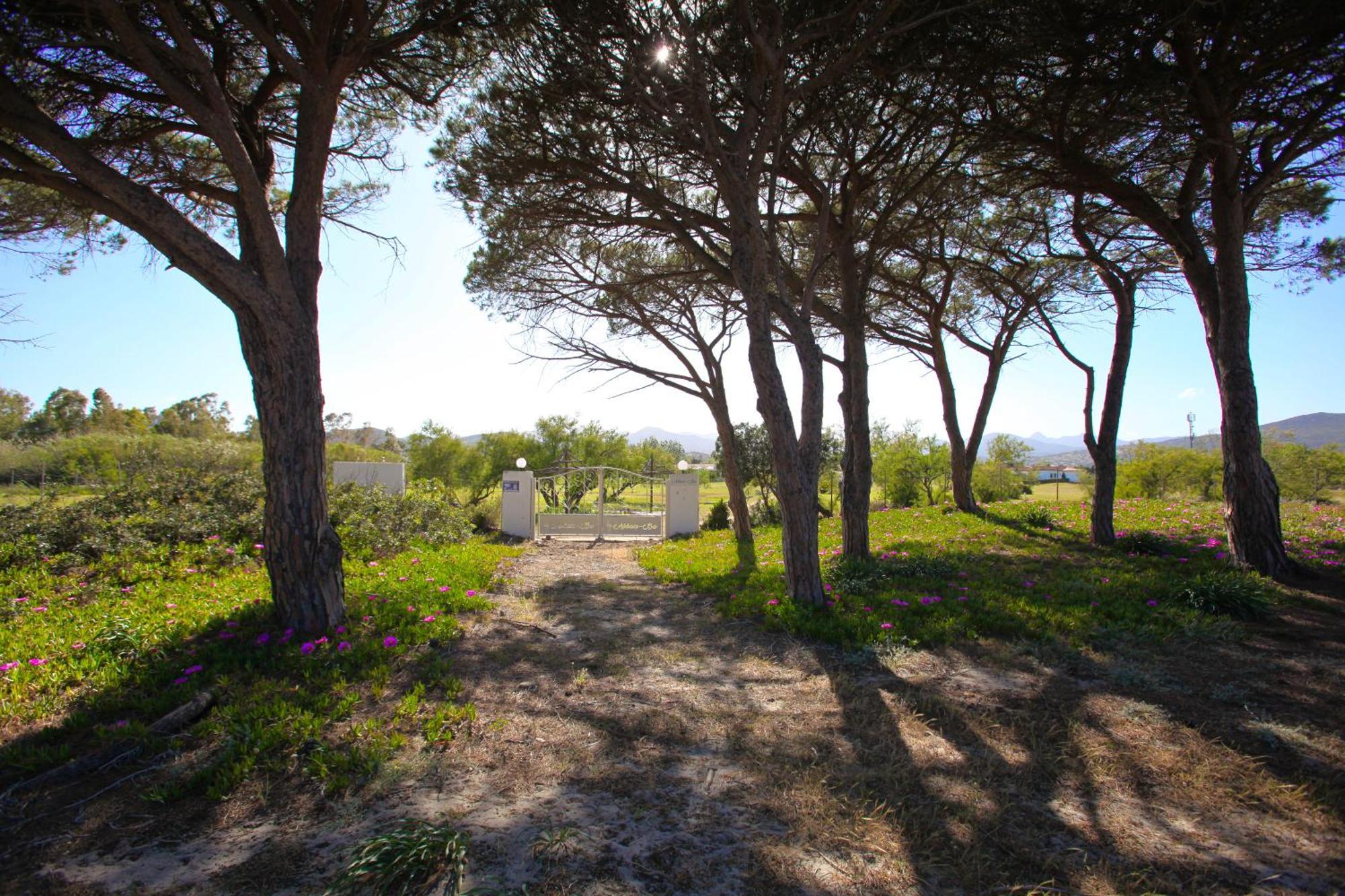 בודוני Resort Abbaia Ba מראה חיצוני תמונה