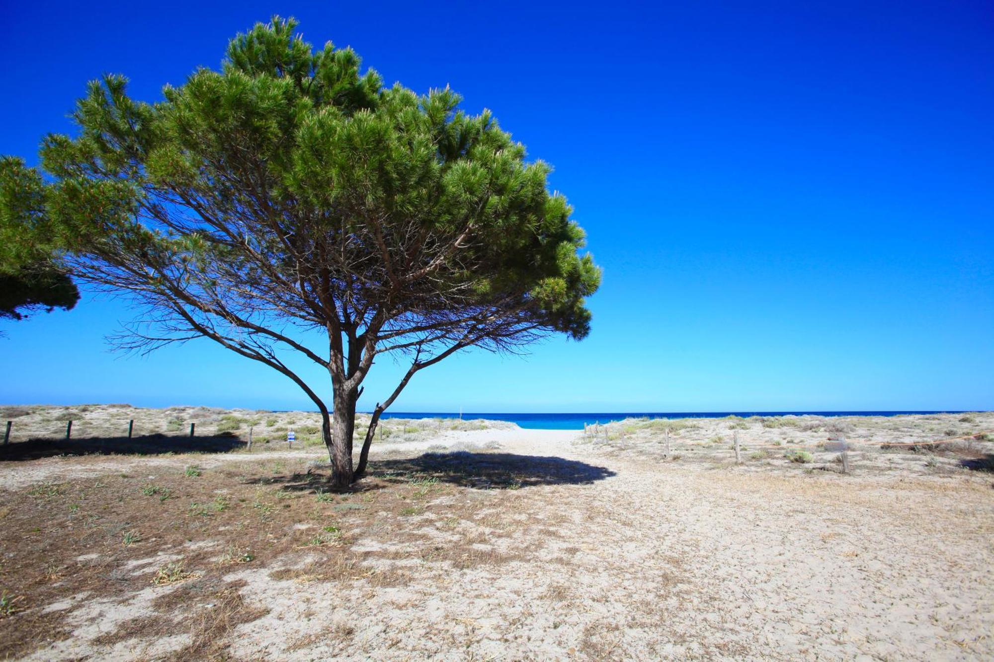בודוני Resort Abbaia Ba מראה חיצוני תמונה