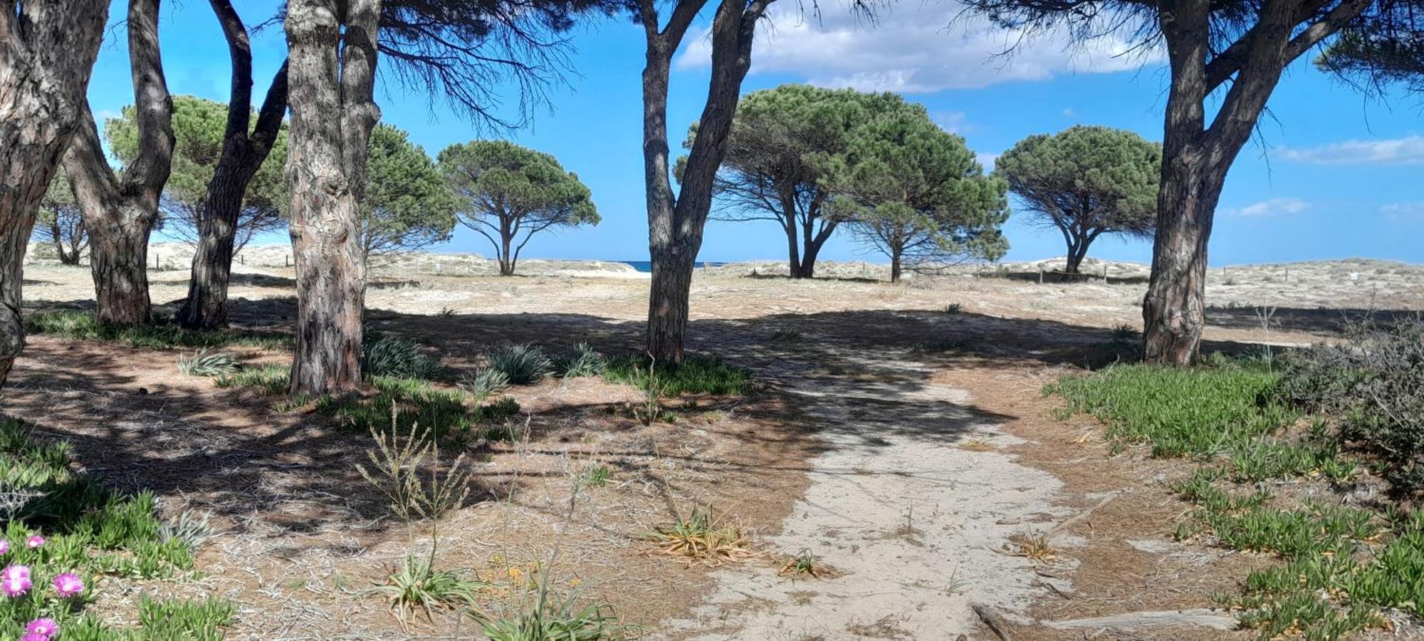בודוני Resort Abbaia Ba מראה חיצוני תמונה