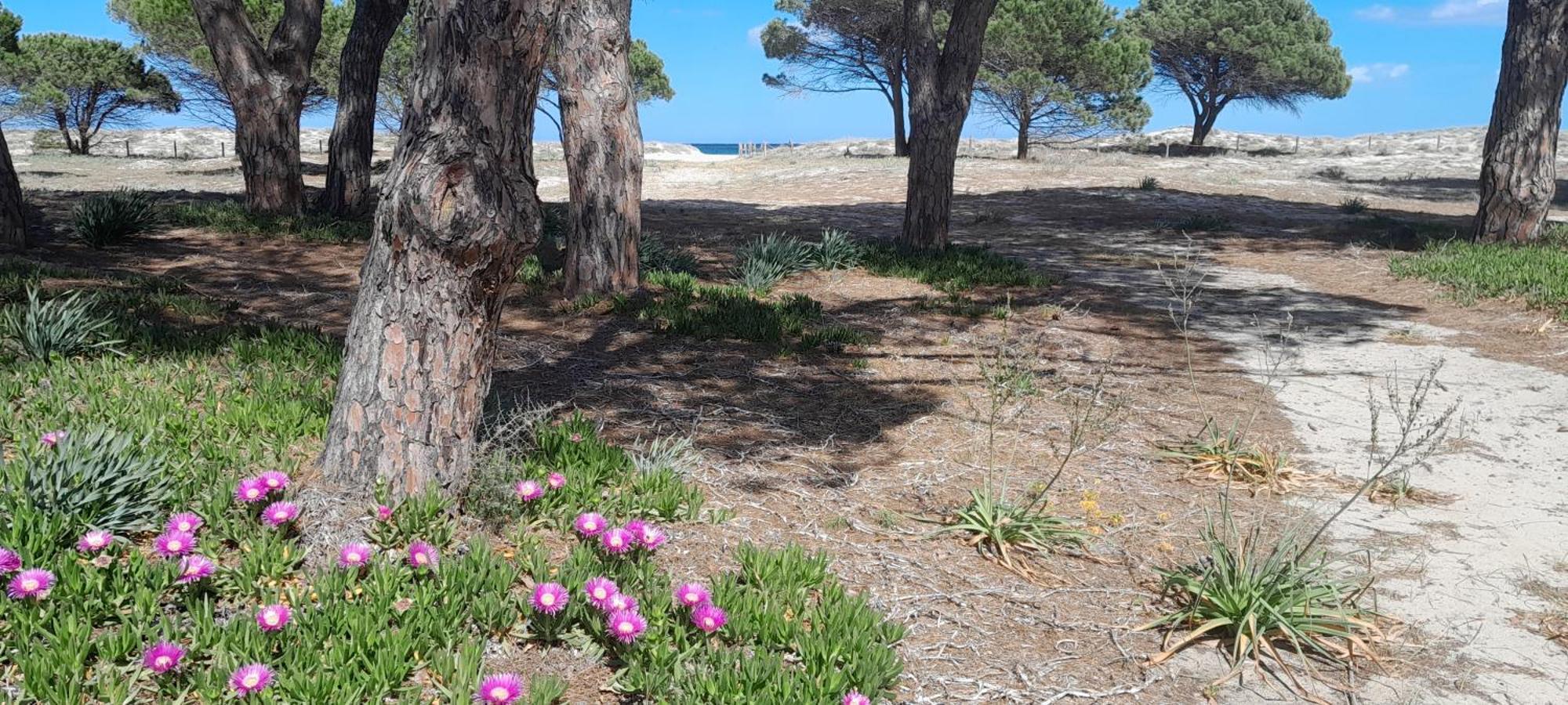 בודוני Resort Abbaia Ba מראה חיצוני תמונה