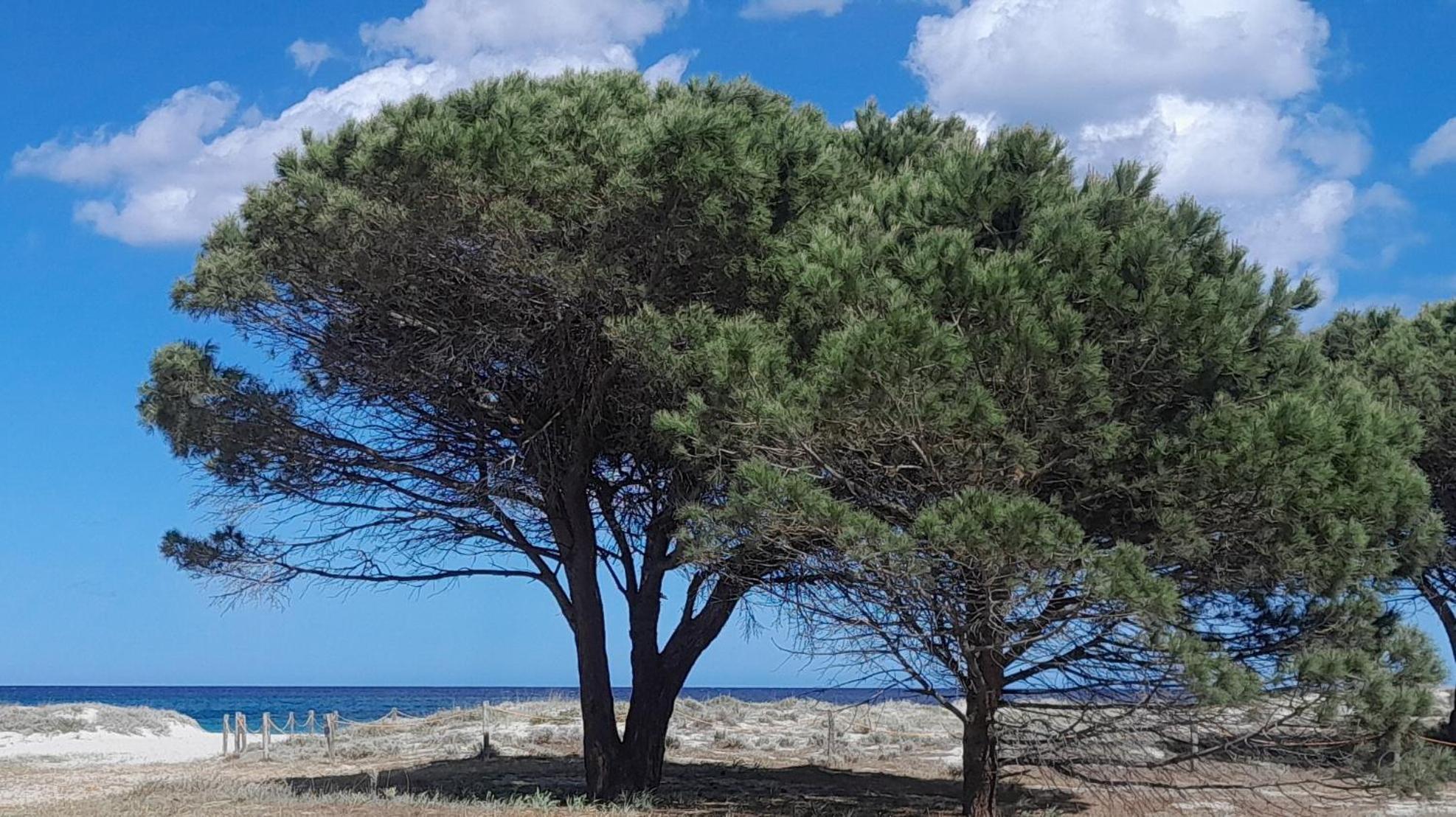 בודוני Resort Abbaia Ba מראה חיצוני תמונה