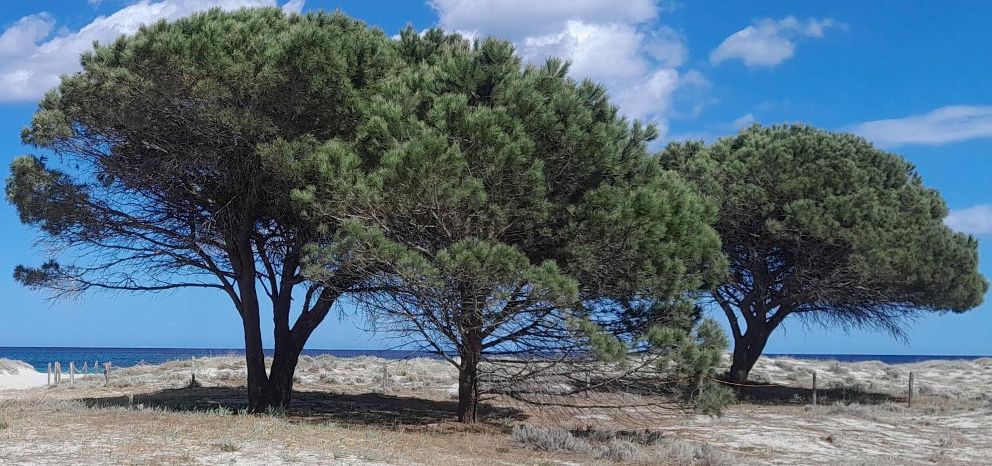 בודוני Resort Abbaia Ba מראה חיצוני תמונה